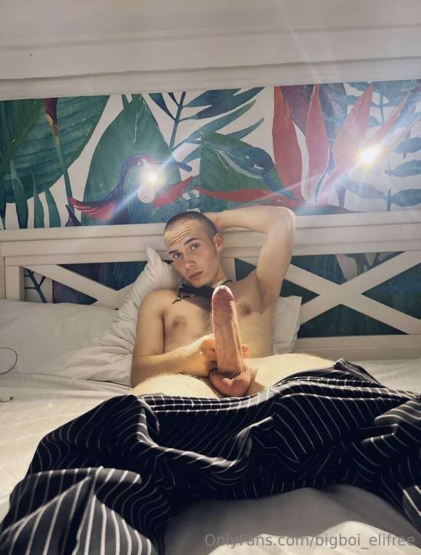 bigboi_elifree