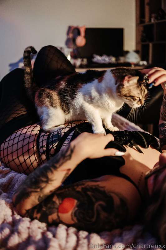 chartreuxx image #4
