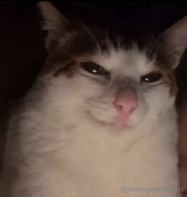 jennalynnmeowri