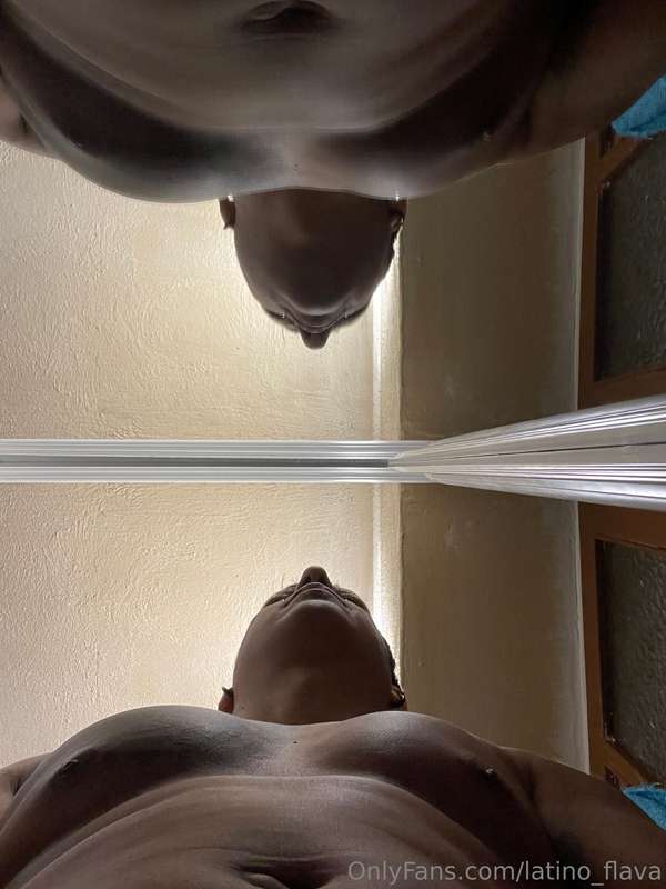 latino_flava