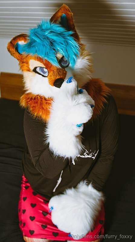 furry_foxxy