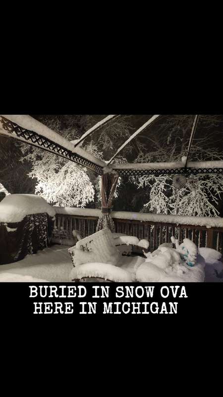 4° here in Winter wonderland 
Thats "PURE MICHIGAN" 🥶😬
Cuddl..