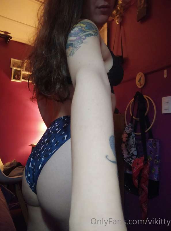 vikitty image #5