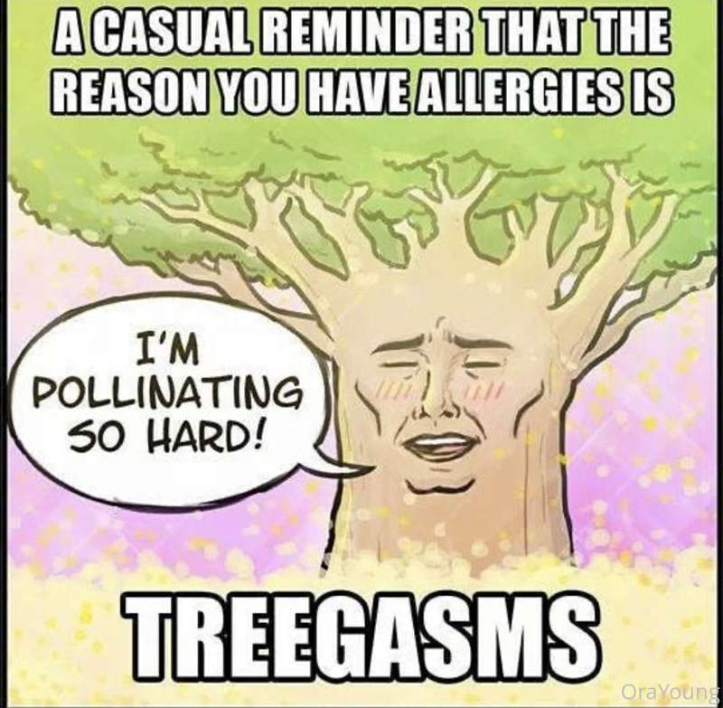 media