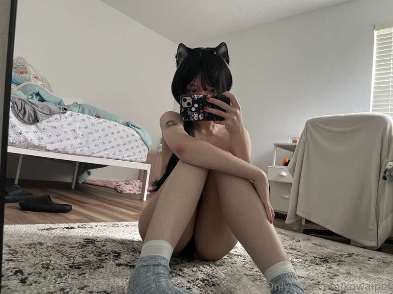 kowaipet