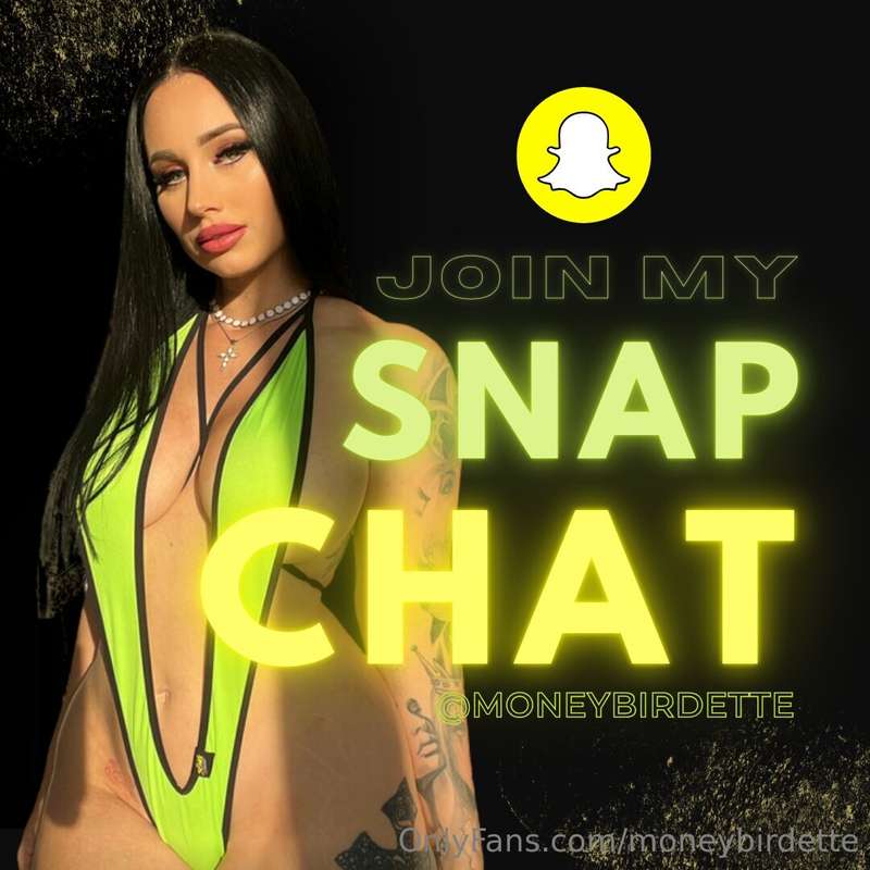 moneybirdette