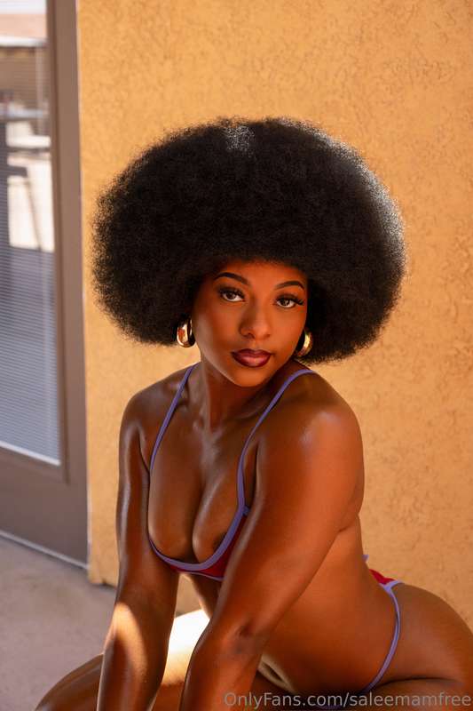 saleemamfree