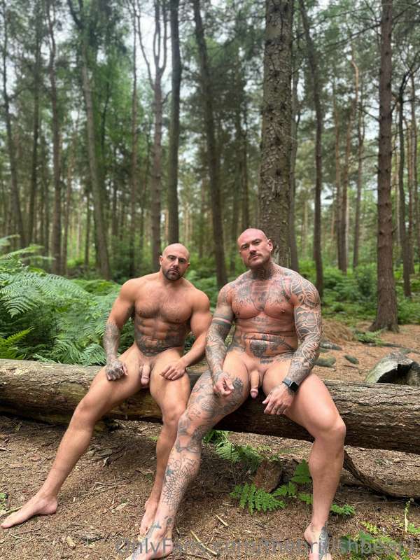 thebritishbear1