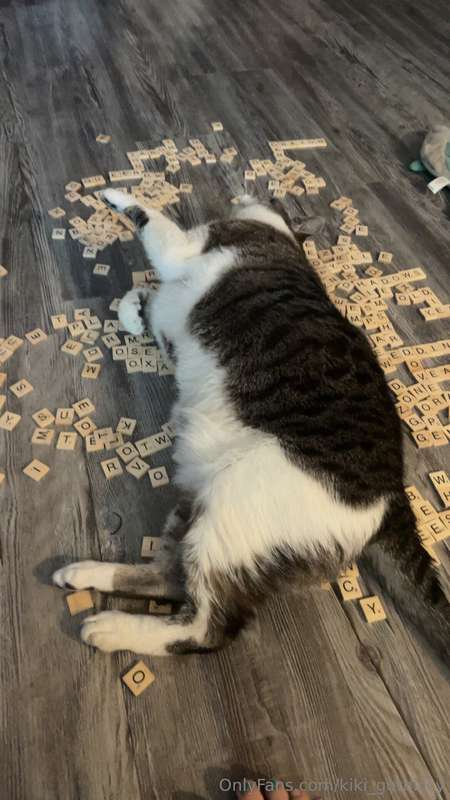 Well I WAS playing scrabble