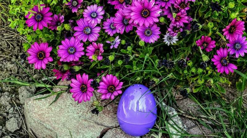 Happy Easter All!!! Hope you all have an amazing day full of..