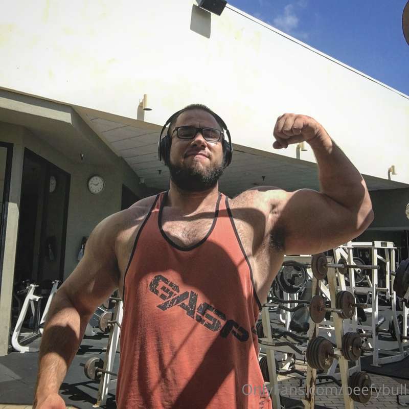beefybull