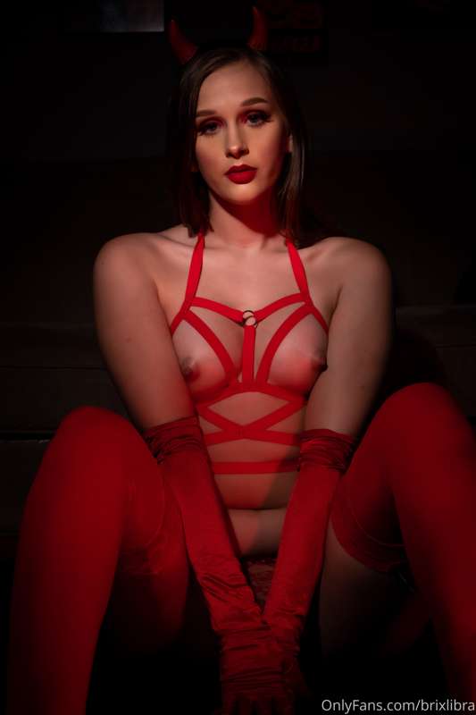 brixlibra image #5
