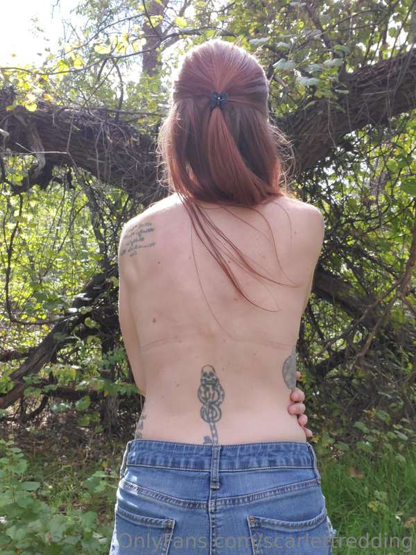 media