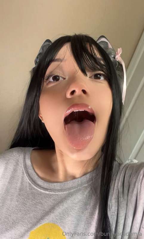 kowaipet