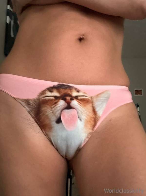 worldclasskitty image #0
