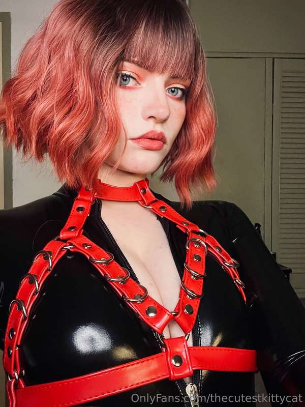 thecutestkittycat