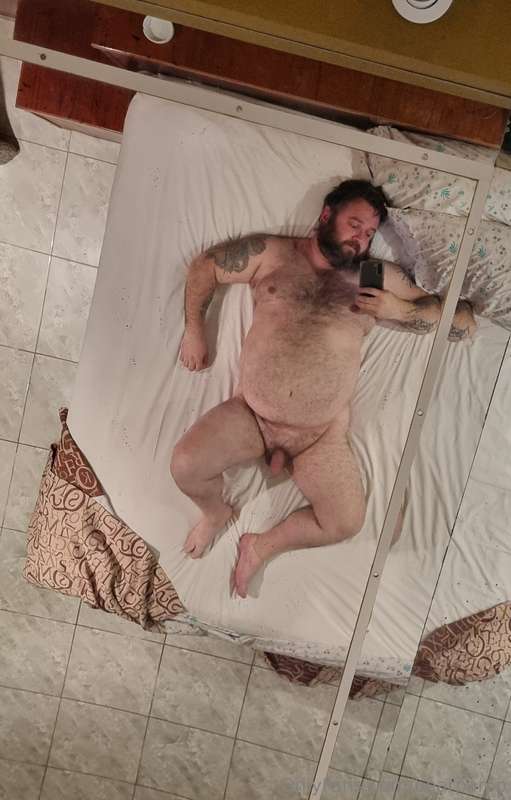 bearpamp