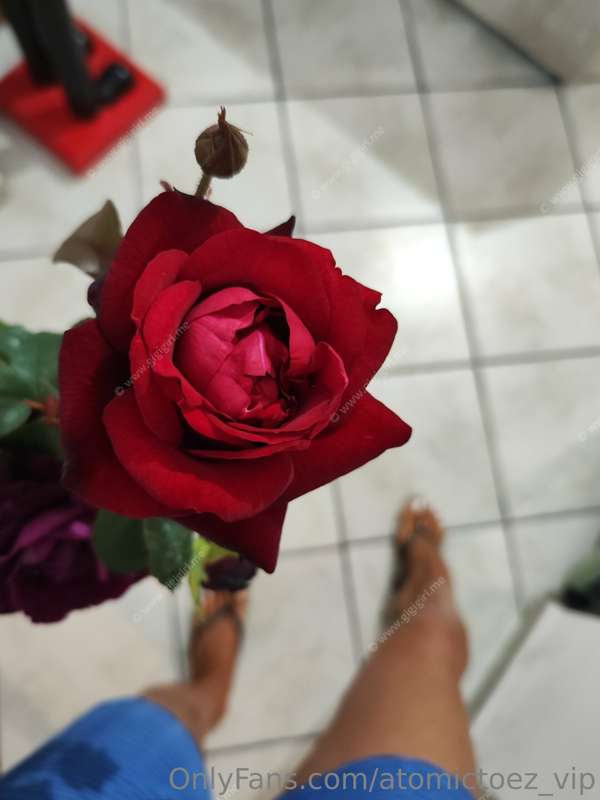 Beautiful rose 😏🌹

SWIPE ➡️ for more