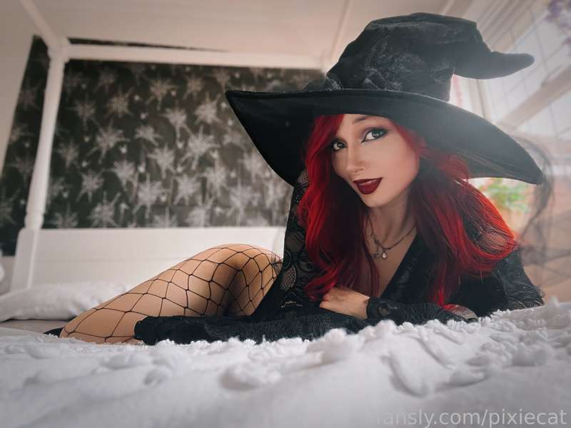pixiecat image #19