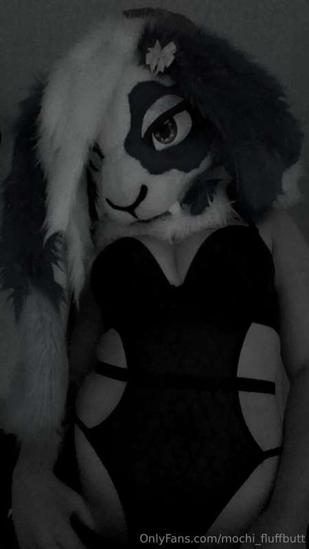 mochi_fluffbutt