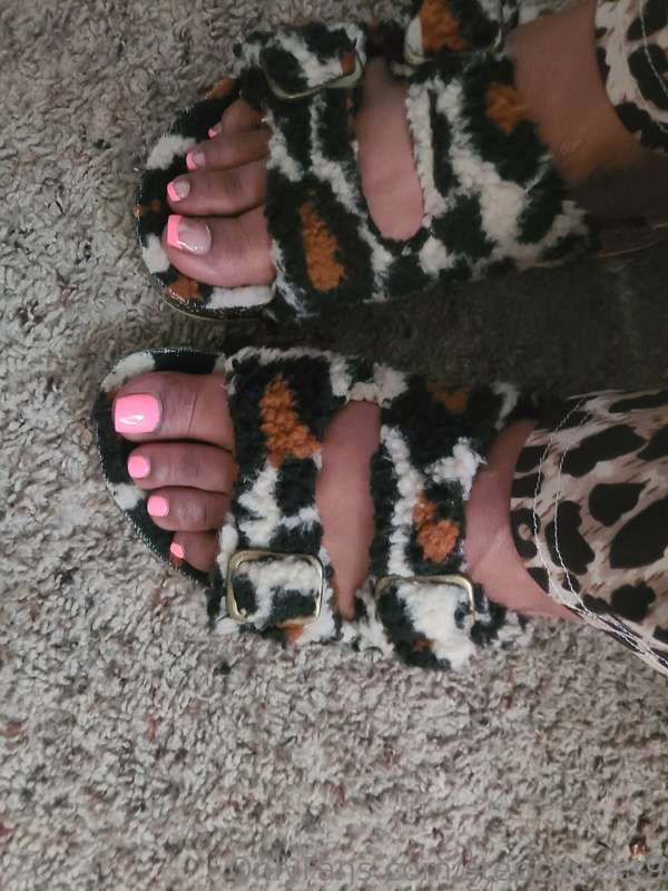 stepcorrect9 image #1