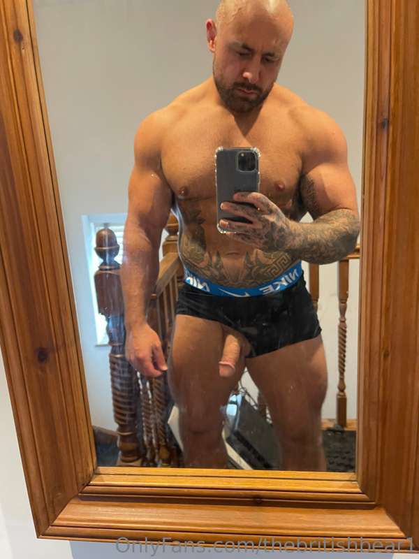 thebritishbear1