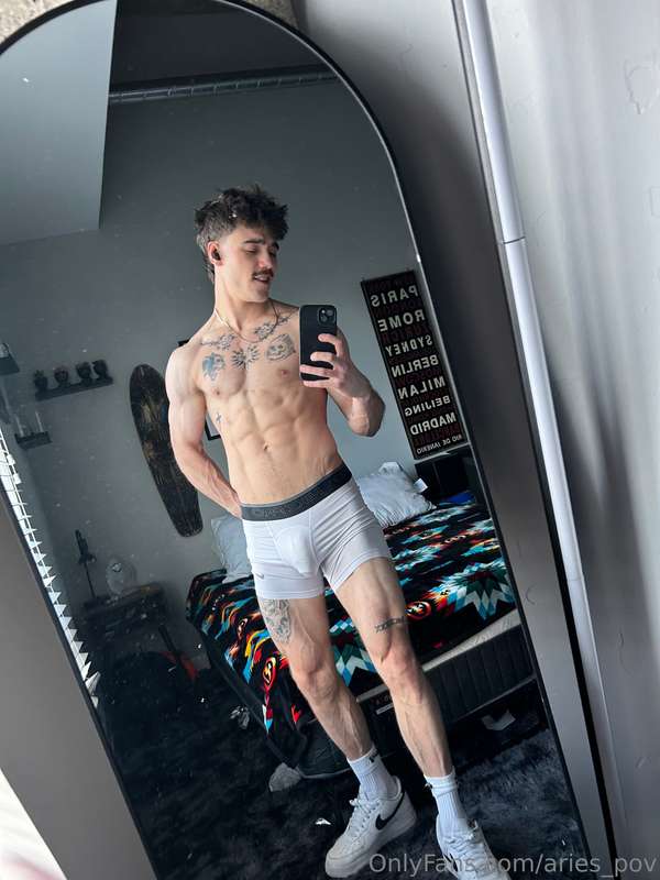 Aries_pov