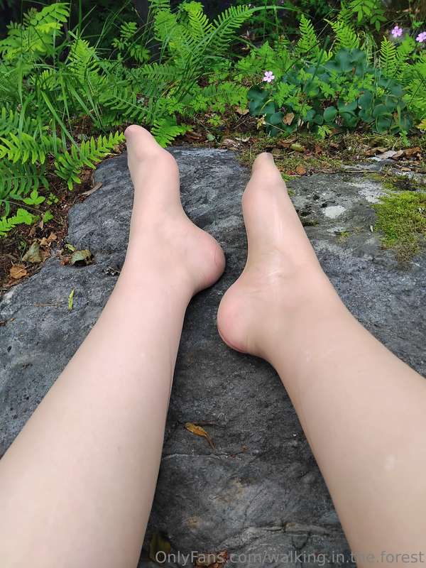 Nylons ❤️