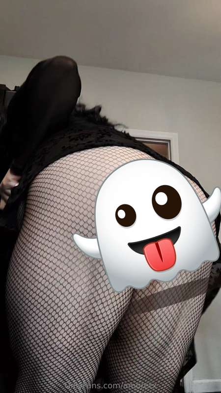 amoretx image #0