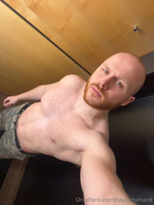 taylerbehard