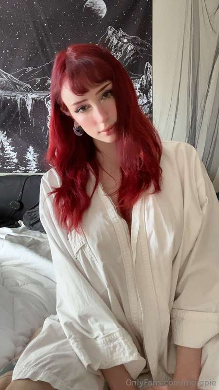 morgpie photo
