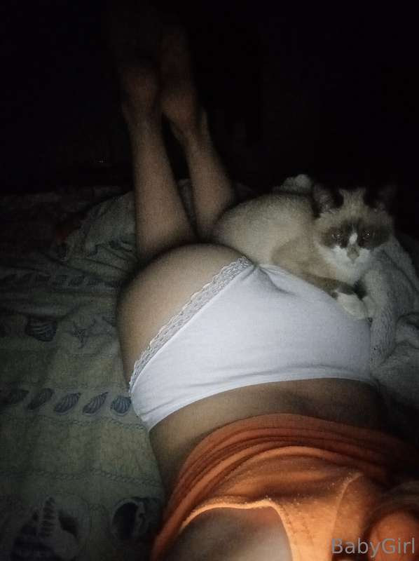 Kitten won this life 🔥