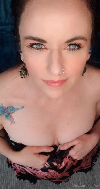 lilyanncolfox