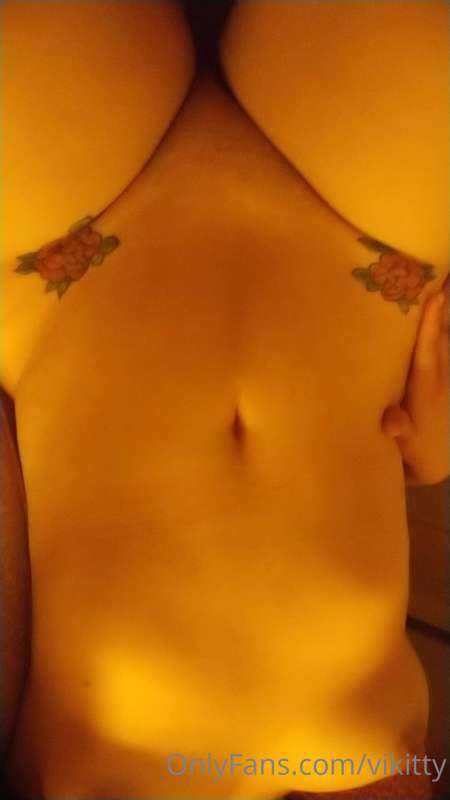 vikitty image #3