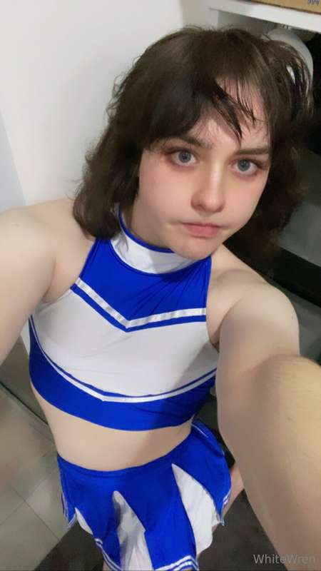 bluewren99