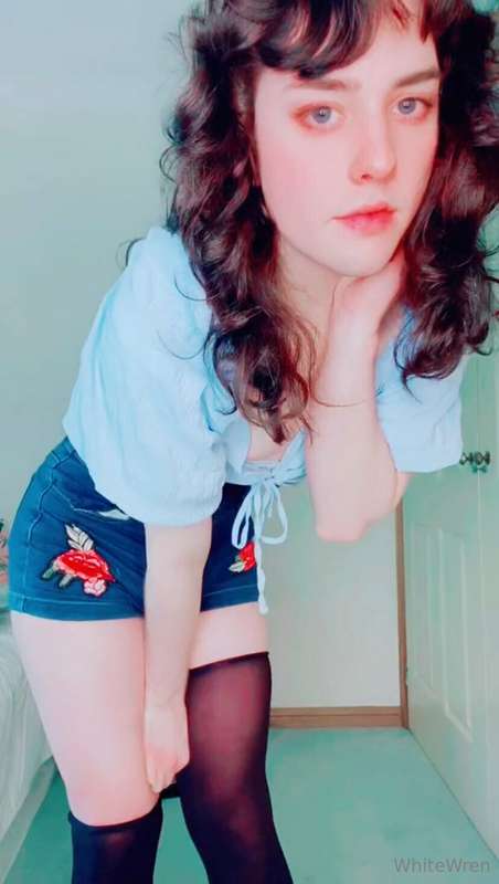 bluewren99