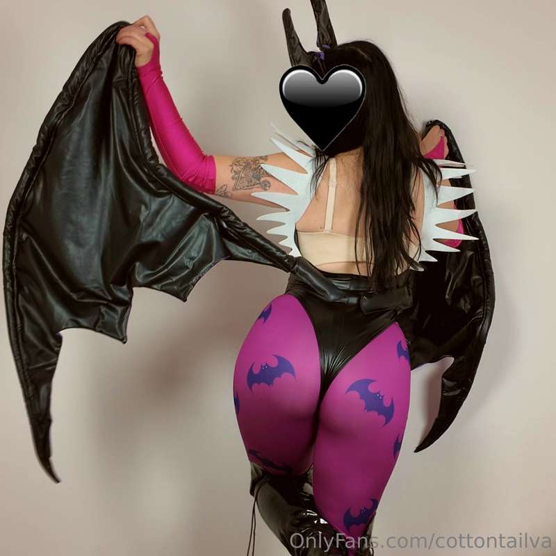 cottontailva image #19