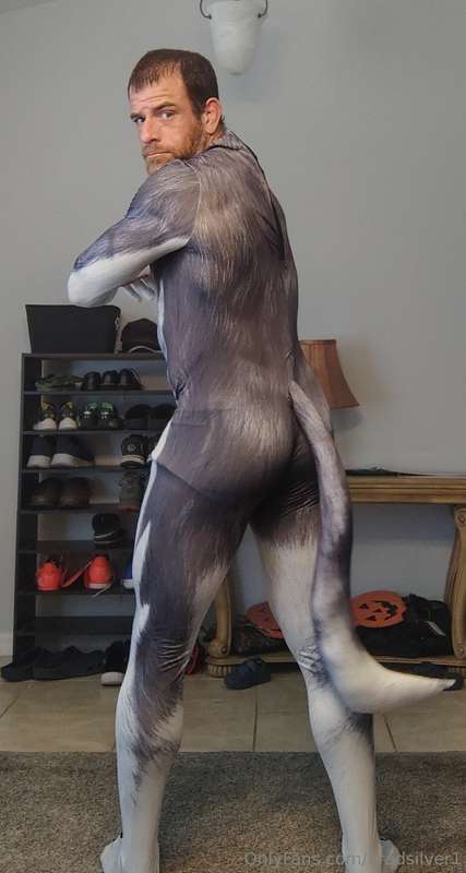 bradsilver1 image #1