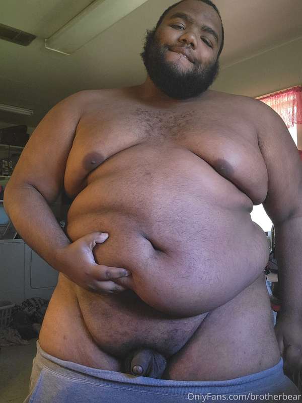 brotherbear image #0