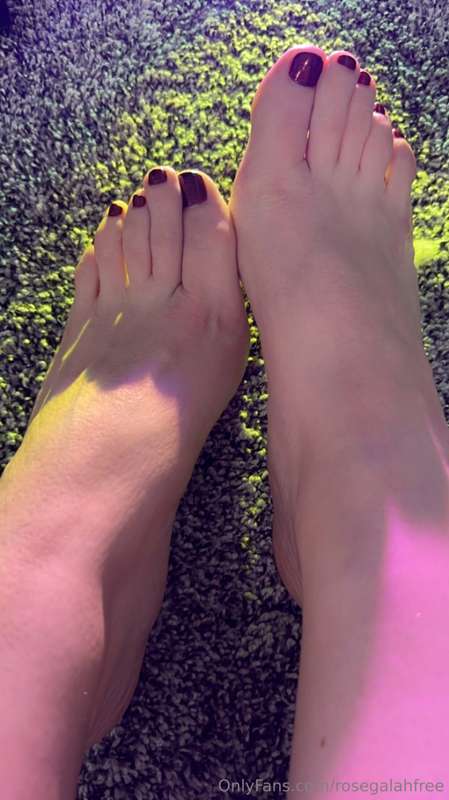 Got my toes done!