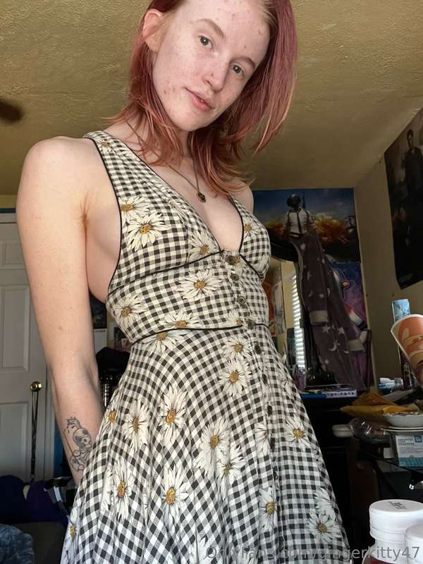 gingerkitty47 image #1