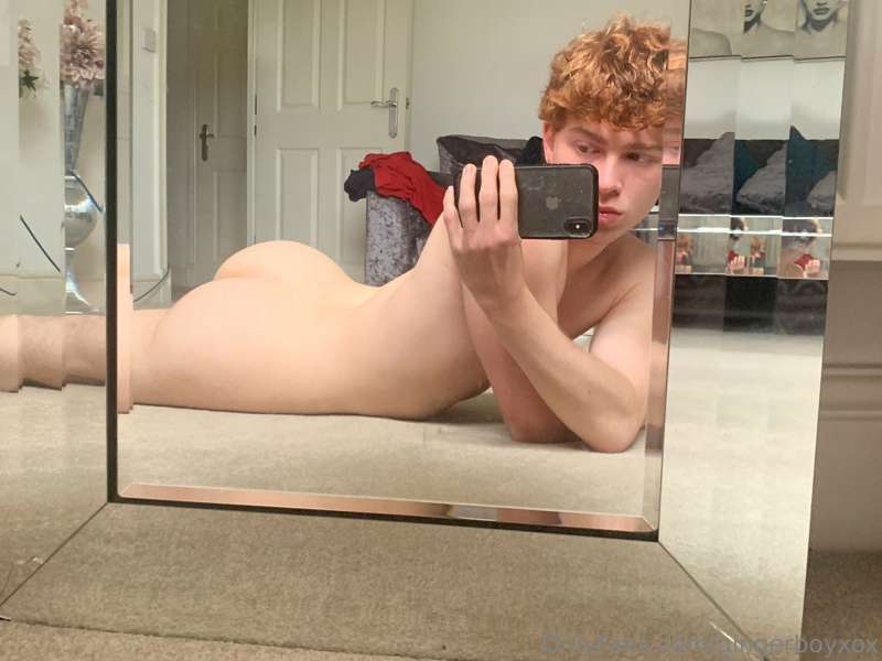 gingerboyxox