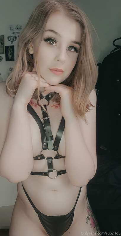 Do you like this harness?