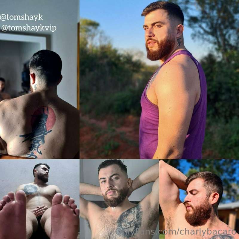 tomshayk