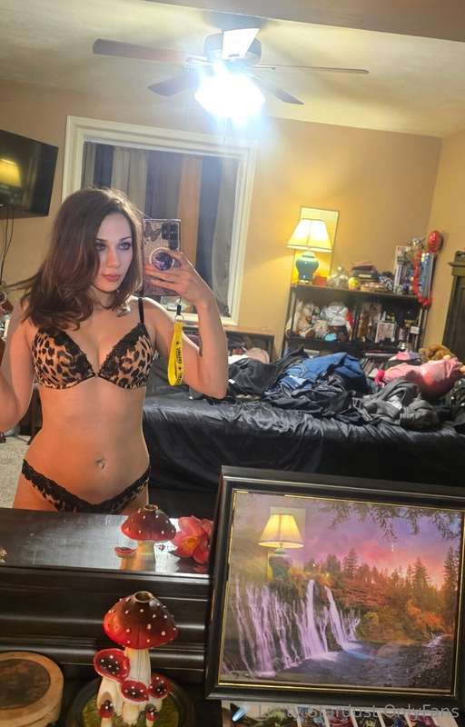 🐆🐾🖤🌸🪷