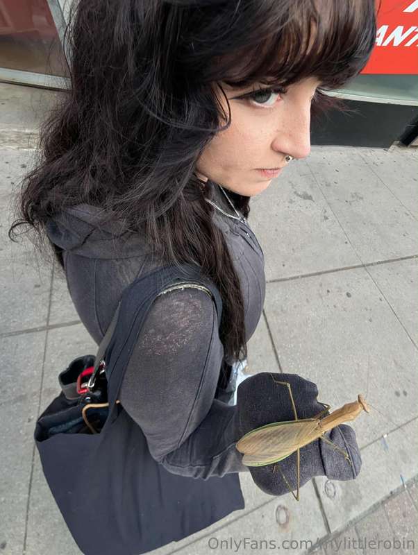My new six-legged sidekick