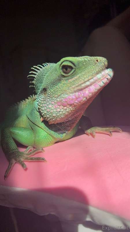 Sorry if I’m not active right now. I just lost my baby. A pa..