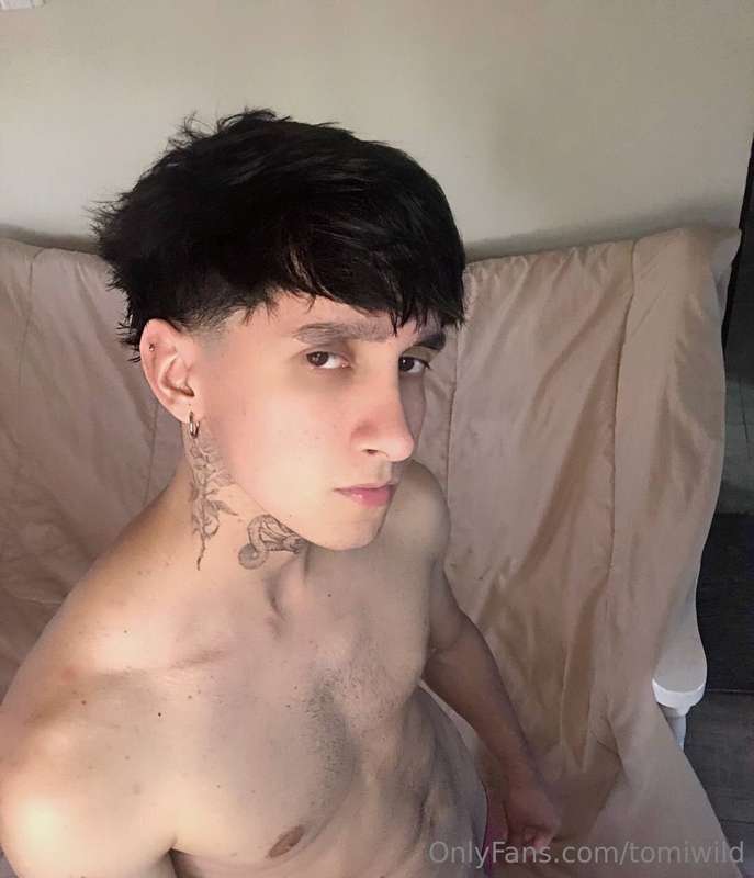 tomiwild