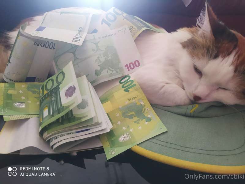 Hoy os dejo con una pequeña sesión de fotos de mi gata Miau ..