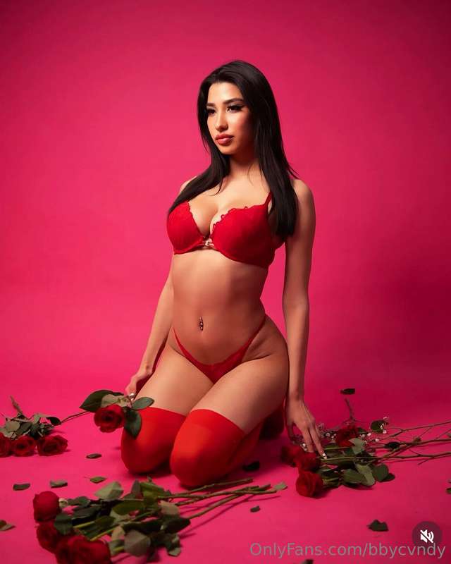 bbycvndy